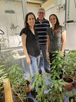 Ag-tech Start-Up WeedOUT Raises USD8.1 Million to Fight Weed Resistance