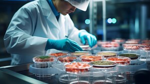 CuliNEX From Concept to Kitchen: The 10 Step Guide of Food Product Development
