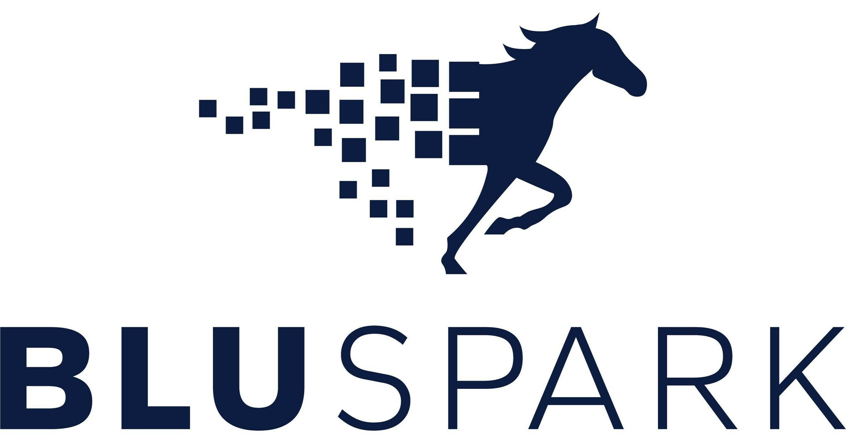 Daria Kilkeary Joins Bluspark to Lead Enterprise Sales and Consulting