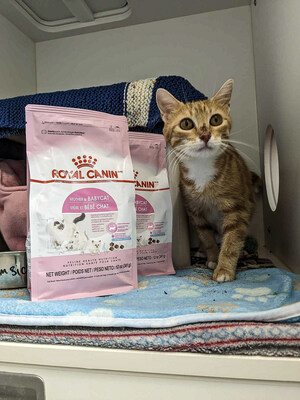 Royal Canin North America fed more than 1.6 million pets through product donations in 2023.