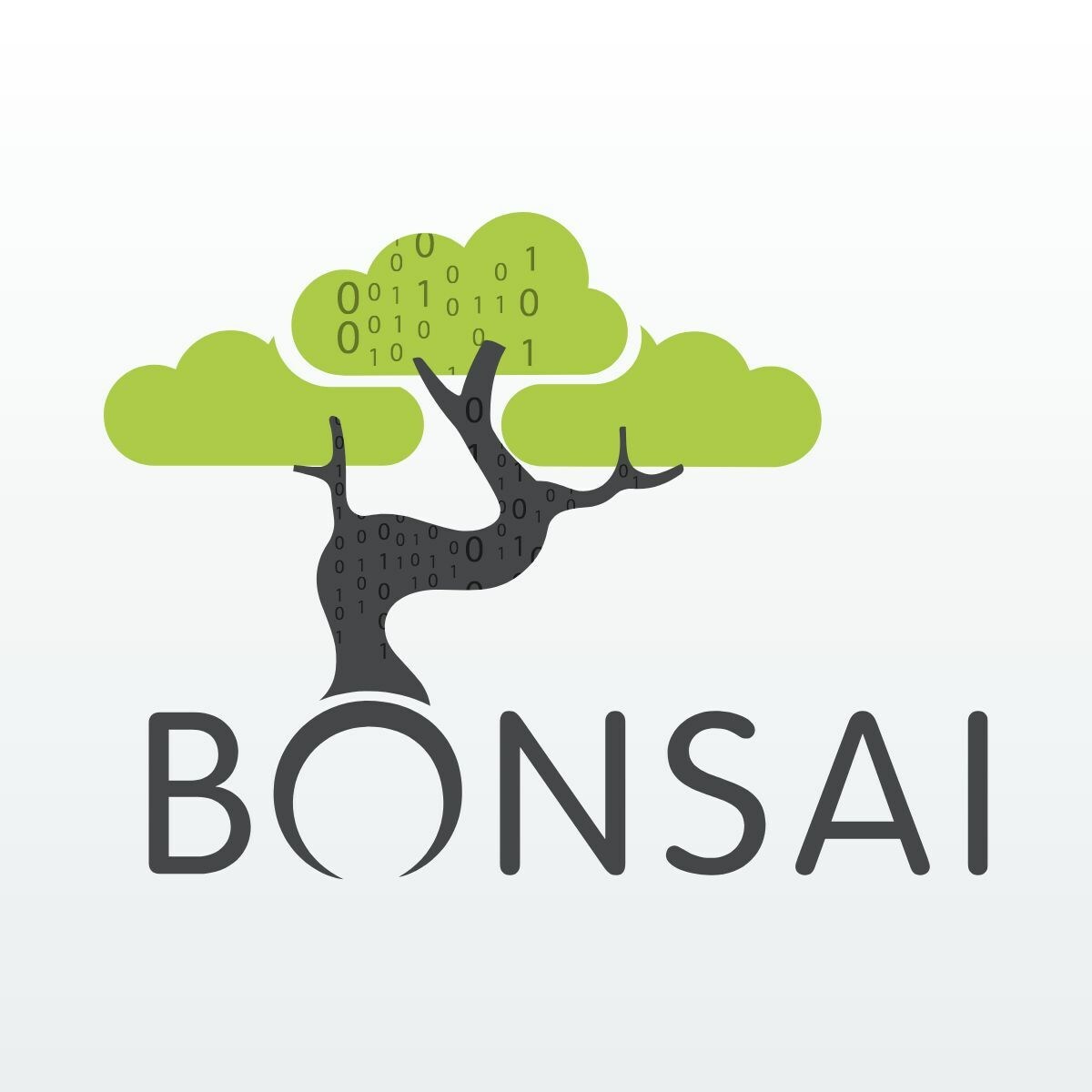 Bonsai Data Solutions Introduces Overstory, the Marketing Industry's ...