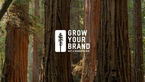 'Grow your brand, not a marketplace' -- Online scheduling software Setmore launches a new initiative that champions brands and spotlights what sets them apart.