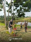 PMI Foods Partners with One Tree Planted to Plant 10,000 Trees as Part of a Longer-Term Commitment