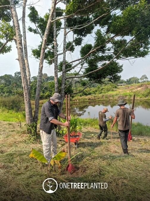 PMI Foods Partners with One Tree Planted to Plant 10,000 Trees as Part of a Longer-Term Commitment - Vimarsana News