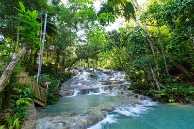 A stop at the majestic and archetypal Dunn’s River Falls, a fixture in the film Dr. No of the James Bond series, is included in the “Love and Let Fly” package for Sandals and Beaches guests who travel aboard American Airlines AA4007.