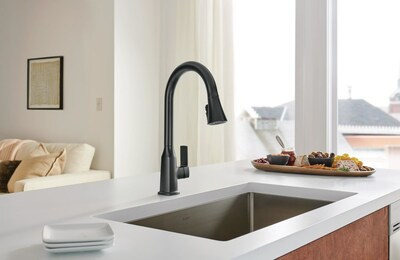 Ezra™ Single-Handle Pull-Down Kitchen Faucet with POWERush™