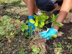 Fifty-nine schools will break ground on projects to help nature, seeded by WWF-Canada's Go Wild Grants