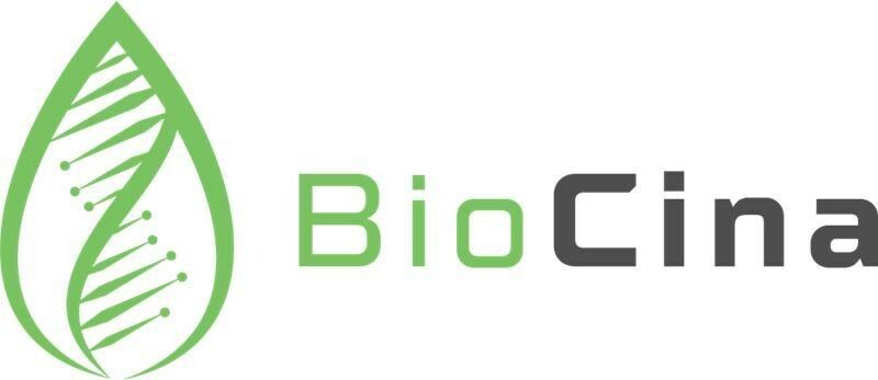 EnGeneIC Selects Global CDMO BioCina to Advance Their Ground-Breaking Cancer Treatment