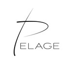 Pelage Pharmaceuticals Announces $16.75M Series A Financing led by GV to Revolutionize Regenerative Medicine for Hair Loss