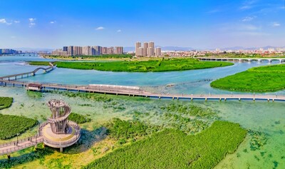 Photo taken in January 2024 shows the Xiatanwei mangrove park in Xiamen, southeast China's Fujian province.