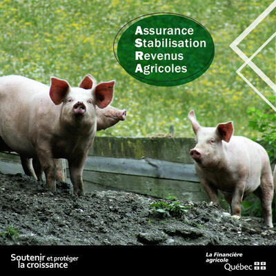 Les producteurs et productrices de porcs recevront le 29 fvrier une quatrime avance de compensation pour l'anne d'assurance 2023 dans le cadre du Programme d'assurance stabilisation des revenus agricoles (ASRA) (Groupe CNW/La Financire agricole du Qubec)