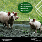 Programme d'assurance stabilisation des revenus agricoles - 43,5 M$ pour la quatrième avance de compensation 2023 pour les entreprises porcines