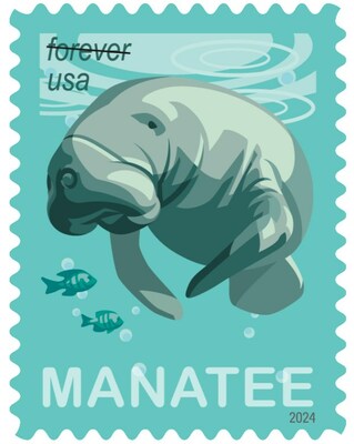 The U.S. Postal Service will be issuing the Save Manatees stamp on Manatee Appreciation Day, March 27, 2024.