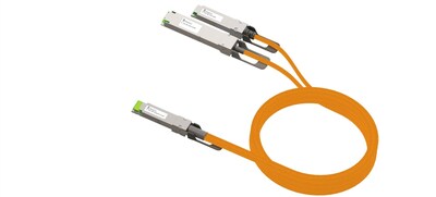 Infraeo 400G QSFP-DD to OSFP-RHS & QSFP112 Breakout cable