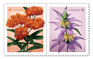 Annual flower stamp issue showcases environmentally important wildflowers