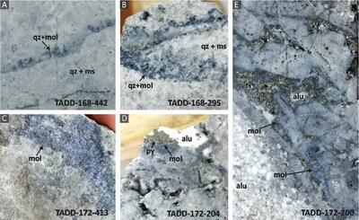 Figure 1. Samples of B-type veins from Cerros Taguas. A-C: Quartz + molybdenite veins. D-E: High sulfidation epithermal breccias. (CNW Group/Orvana Minerals Corp.)