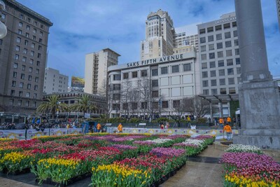Union Square San Francisco Tulipmania