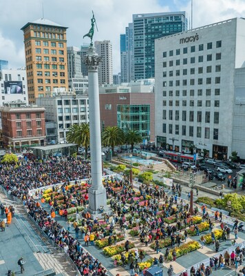 San Francisco Union Square: Tulip Day garden as seen from above
