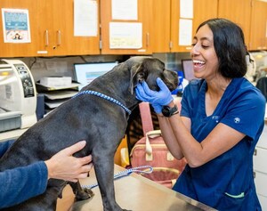 Petco Love Launches New Nonprofit Veterinary Technician Scholarship Fund