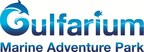 Gulfarium Marine Adventure Park Unveils Dolphin Oasis in a Grand Opening Celebration