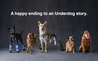 SUBARU HELPS OVER 52,000 SHELTER PETS FIND LOVING HOMES THROUGH ANNUAL SUBARU LOVES PETS® MONTH