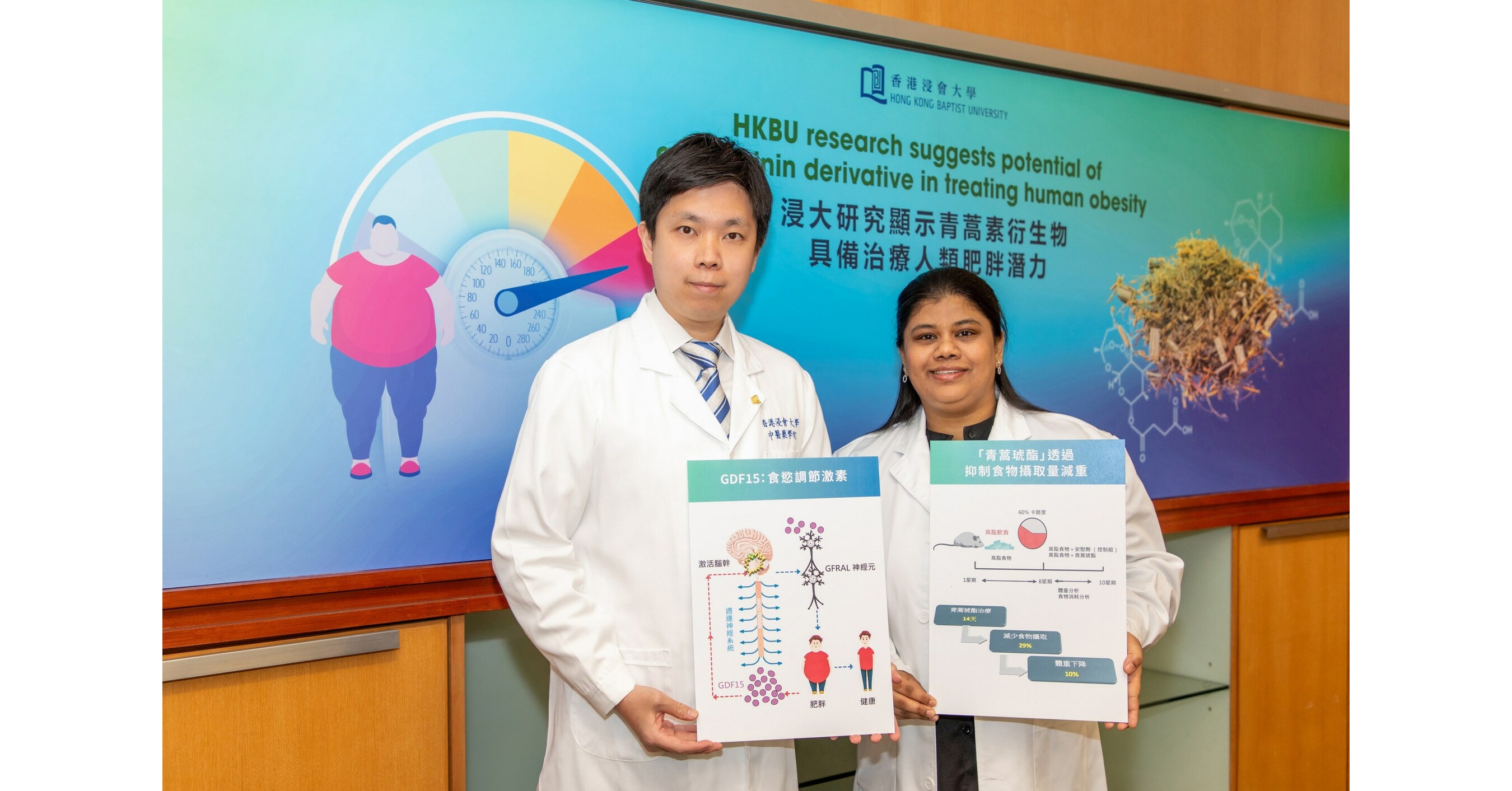 HKBU research suggests potential of artemisinin derivative in treating human obesity