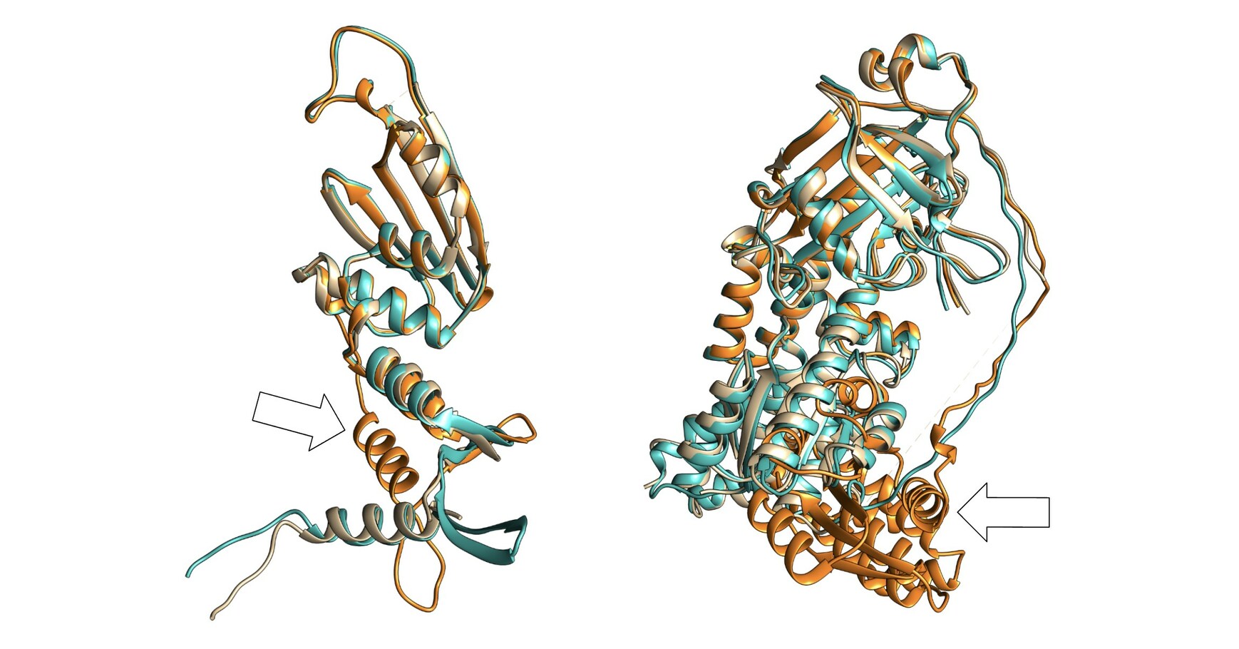 Basecamp Research Launches BaseFold: A Breakthrough in 3D Protein Structure  Prediction of Large, Complex Protein Structures