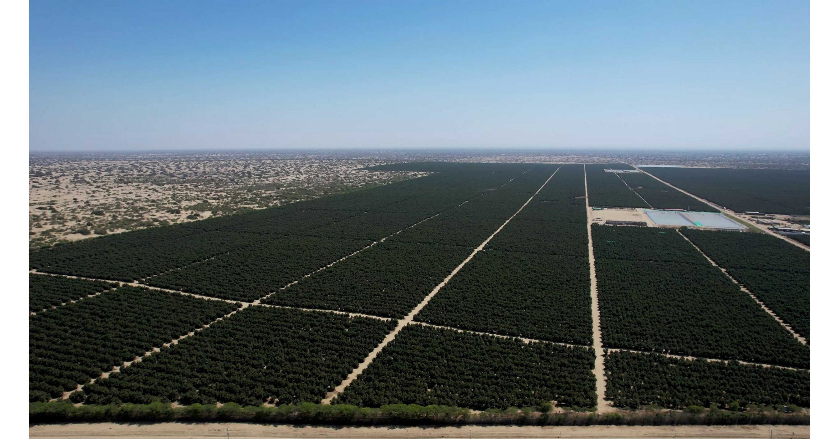 UNIFRUTTI GROUP ACQUIRES BOMAREA AND AVOAMERICA PERU TO FURTHER STRENGTHEN ITS GLOBAL MULTI-FRUIT PLATFORM UNIFRUTTI GROUP ACQUIRES BOMAREA AND AVOAMERICA PERU TO FURTHER STRENGTHEN ITS GLOBAL MULTI-FRUIT PLATFORM