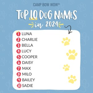 CAMP BOW WOW® UNLEASHES TOP 10 DOG NAMES FOR 2024