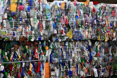 New Study by Stagwell's (STGW) The Harris Poll Suggests Brands Using Imported Waste in Recycled Products Are at Risk of Greenwashing