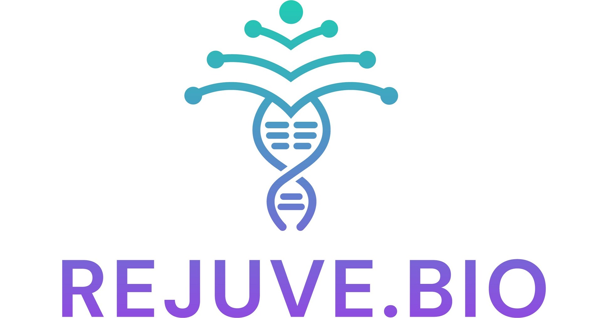 Rejuve.Bio Launches Groundbreaking Crowd Fund on NetCapital to Pioneer the Future of Artificial General Intelligence and Longevity