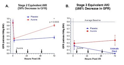 Effects of Auxora on recovery of renal function after establishment of renal functional impairment. GFR is shown at 2 hours and 72 hours post I/R. Panel A: results from rats with initial loss of GFR of approximately <percent>50%</percent> between 2-4 hr post I/R show that the recovery of GFR is greater in Auxora treated animals (n=5) compared to placebo (n=4). Panel B: results from rats with an initial loss of GFR ≥ <percent>66%</percent> show that placebo-treated rats (n=3) did not survive while Auxora-treated rats (n=2) survived. Significance by ANOVA is shown.