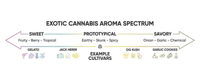 Exotic Cannabis Aroma Spectrum
