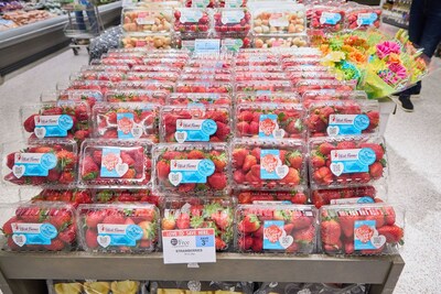 Wish Farms is a year-round supplier of strawberries, blueberries, blackberries, raspberries, and now Pink-A-Boo® Pineberries, it grows both conventional and organic varieties.