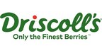 Driscoll's Named to Fast Company's Annual List of the World's Most Innovative Companies of 2024