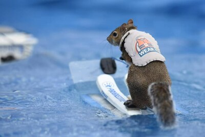 NSBC Recognizes Twiggy the Water Skiing Squirrel with the 2024 Silver ...