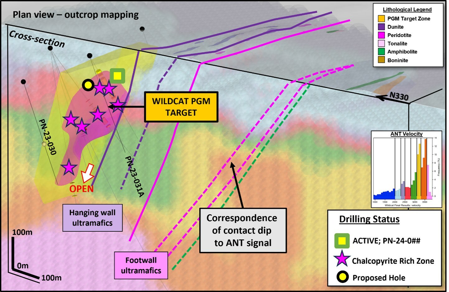 Figure 3: 3D view showing both outcrop mapping and the interpreted mineralized envelope (yellow) and semi-massive chalcopyrite core (magenta), against the Fleet ANT survey.