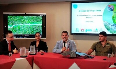 Huawei colabora con SINCA y Macaw Recovery Network para proteger la Lapa Verde