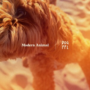 Modern Animal Announces Partnership with DOG PPL, Redefining Pet Wellness Through Education and Community Engagement