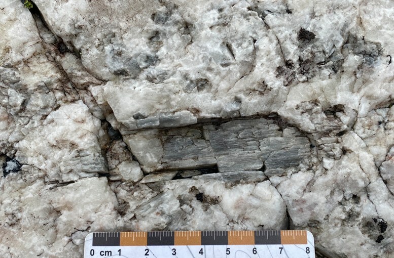 Figure 2: Spodumene crystal at CV14, a new spodumene pegmatite outcrop discovery in 2023. (CNW Group/Patriot Battery Metals Inc)