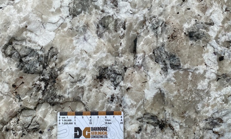 Figure 3: Spodumene crystals at CV14, a new spodumene pegmatite outcrop discovery in 2023, in a matrix of feldspar and smoky quartz. (CNW Group/Patriot Battery Metals Inc)