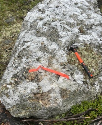 Figure 5: Spodumene pegmatite boulder situated ~2 km south of CV5, indicating potential for yet to be discovered spodumene pegmatite to the south and/or east of CV5’s current known extent. Sample collected assayed <percent>2.2%</percent> Li2O. (CNW Group/Patriot Battery Metals Inc)