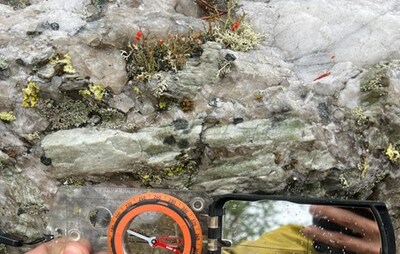 Figure 5: Spodumene crystal from same boulder. (CNW Group/Patriot Battery Metals Inc)