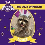 Cadbury Announces 2024 Cadbury Bunny Tryouts Winner - Louie the Raccoon!