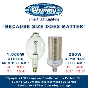 Olympia Lighting Unveils Comprehensive LED Solutions Set to Revolutionize the Lighting Industry