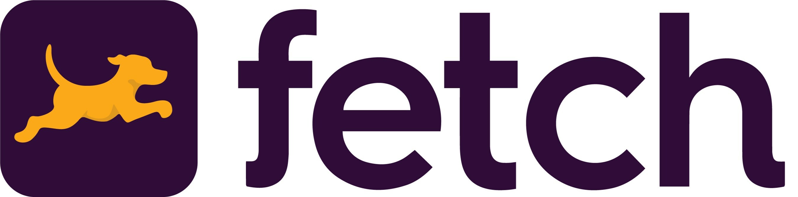 Fetch Reports Strong Momentum for 2025