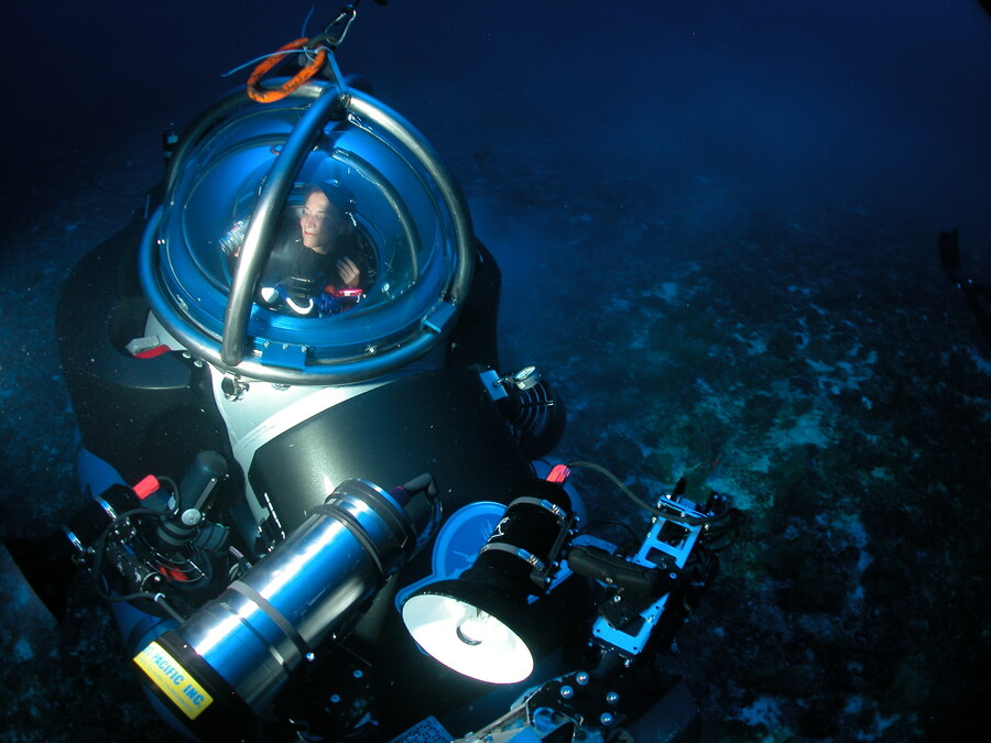 Library of Congress's "Living Legend" and National Geographic's Explorer-at-Large, Dr. Sylvia Earle coming to West Palm Beach for Wave Makers STEM Competition! - Vimarsana News