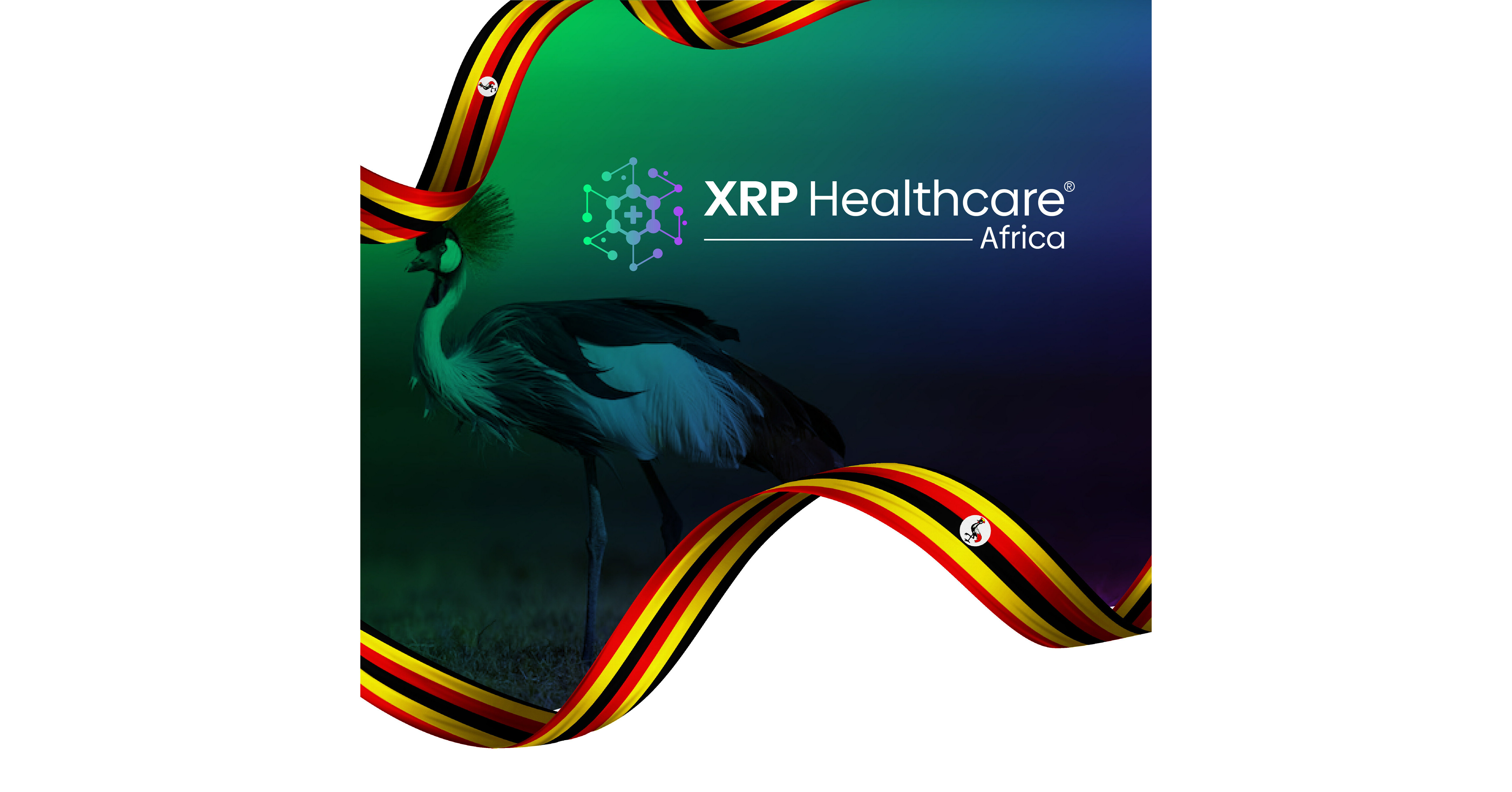 XRP Healthcare move forward as one entity for African M&A venture