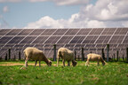 Trina Solar potencia a la granja solar más grande de Nueva Zelanda, con una solución integrada de rastreo de módulos