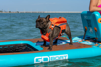 The Dog Dock is here for you and your furry best friends to enjoy the water!